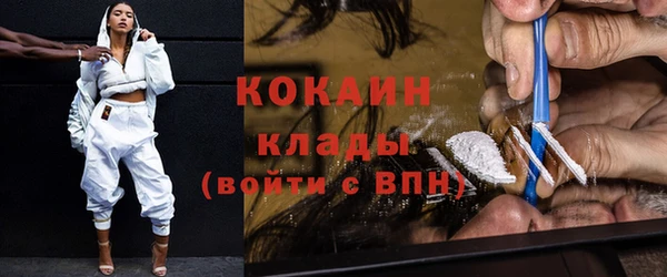 индика Аркадак
