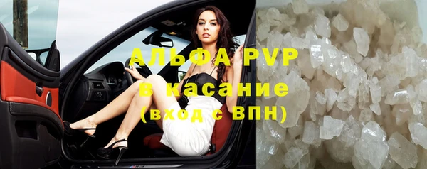 индика Аркадак