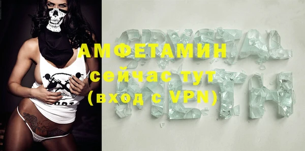 индика Аркадак