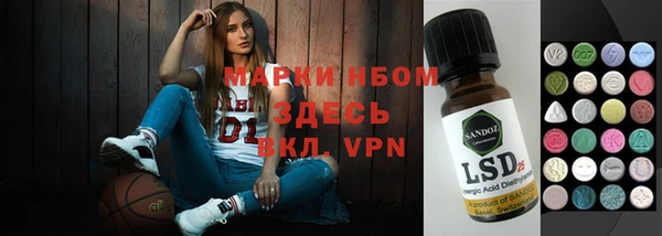 ПСИЛОЦИБИНОВЫЕ ГРИБЫ Арсеньев