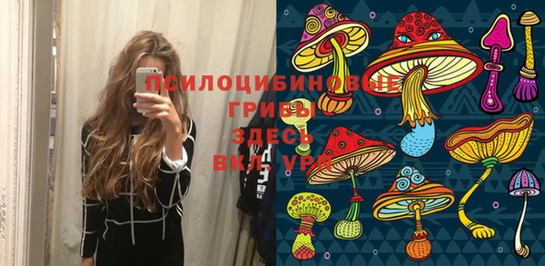 ПСИЛОЦИБИНОВЫЕ ГРИБЫ Арсеньев