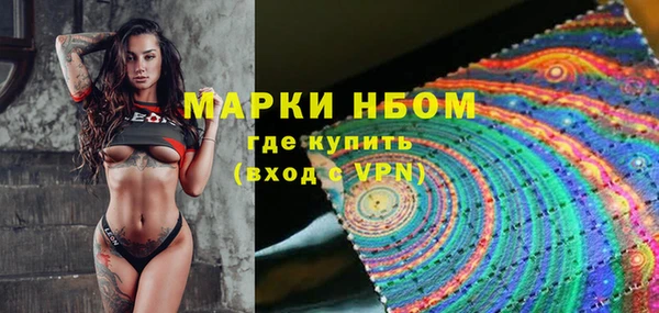 ПСИЛОЦИБИНОВЫЕ ГРИБЫ Арсеньев