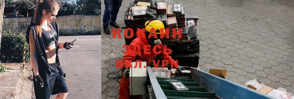индика Аркадак