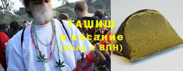 индика Аркадак