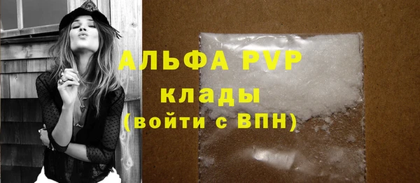 индика Аркадак