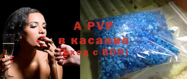 индика Аркадак