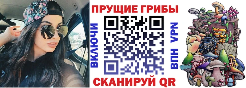Псилоцибиновые грибы мицелий Сураж